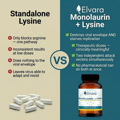 Lysine + Monolaurin Antiviral Capsules