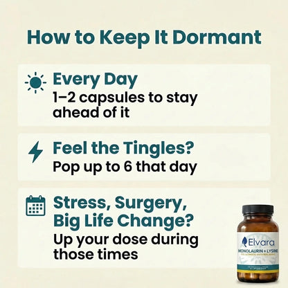 Lysine + Monolaurin Antiviral Capsules